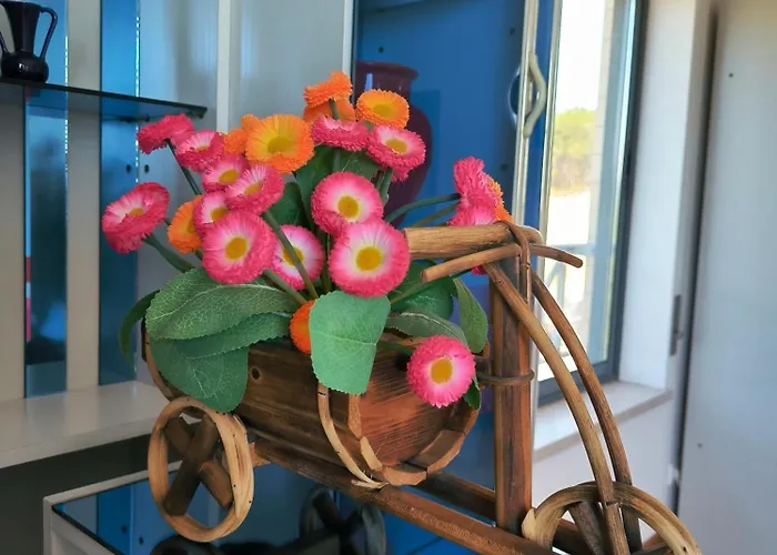 Nazare's House * Nazaré